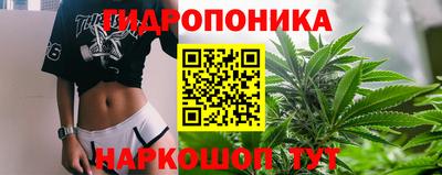 сатива Волгодонск