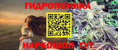 сатива Волгодонск
