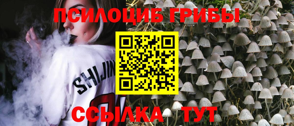 Псилоцибиновые грибы MAGIC MUSHROOMS  Вход с VPN  Острогожск 